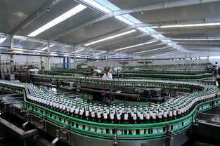 啤酒廠融資商業(yè)計劃書