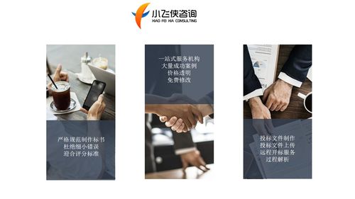 2021巴中投標(biāo)書制作公司,專注做標(biāo)書 小飛俠價(jià)格低